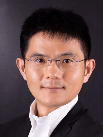 Professor P. Gao